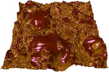 Chocolate imaged using atomic force microscopy