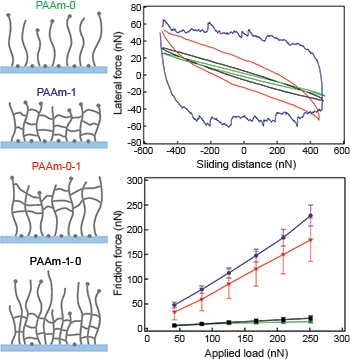 Frictional force is measured as a function of applied load (friction loops) for several different anti-friction coatings