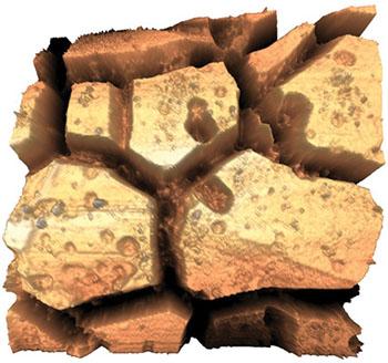 Coronary stent surface imaged using atomic force microscopy