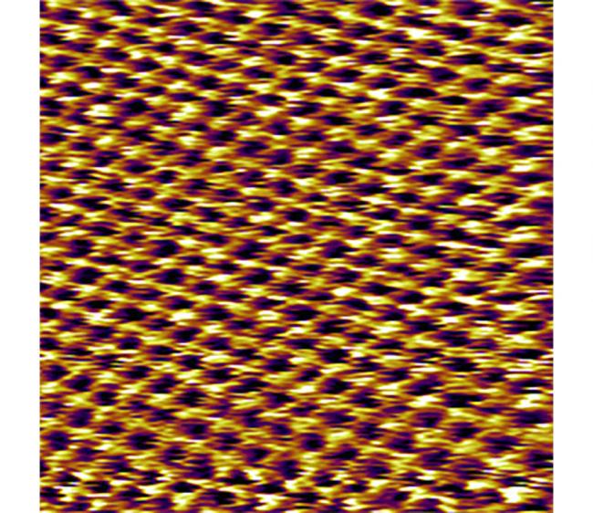 Scanning Tunneling Microscope | STM | Manufacturer