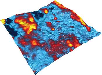 Surface potential image of a carbon-filled polymer blend imaged with atomic force microscopy