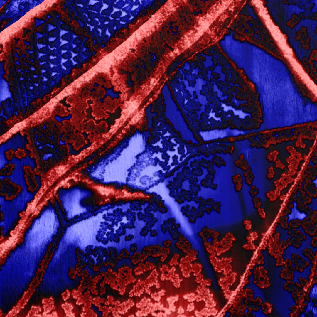 Reduced Electrolyte on HOPG