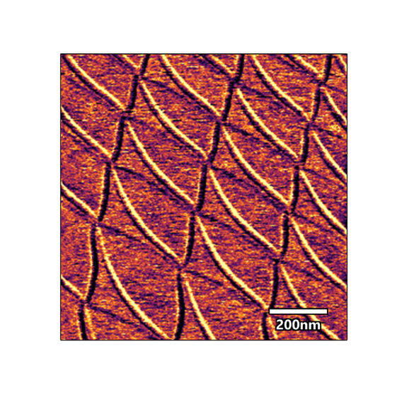 Moiré Characterization of Twisted 2D Materials by AFM