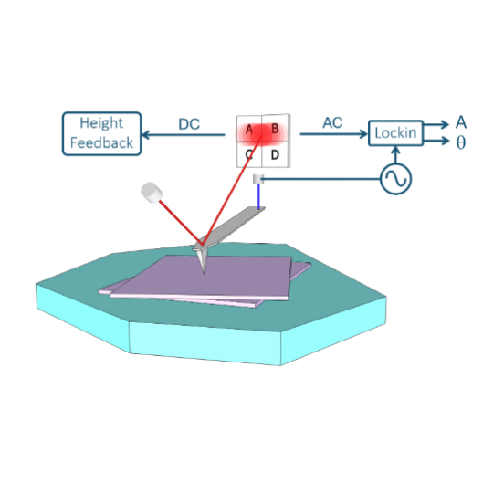 Torsional Force Microscopy for Moiré Imaging of Twisted 2D Materials