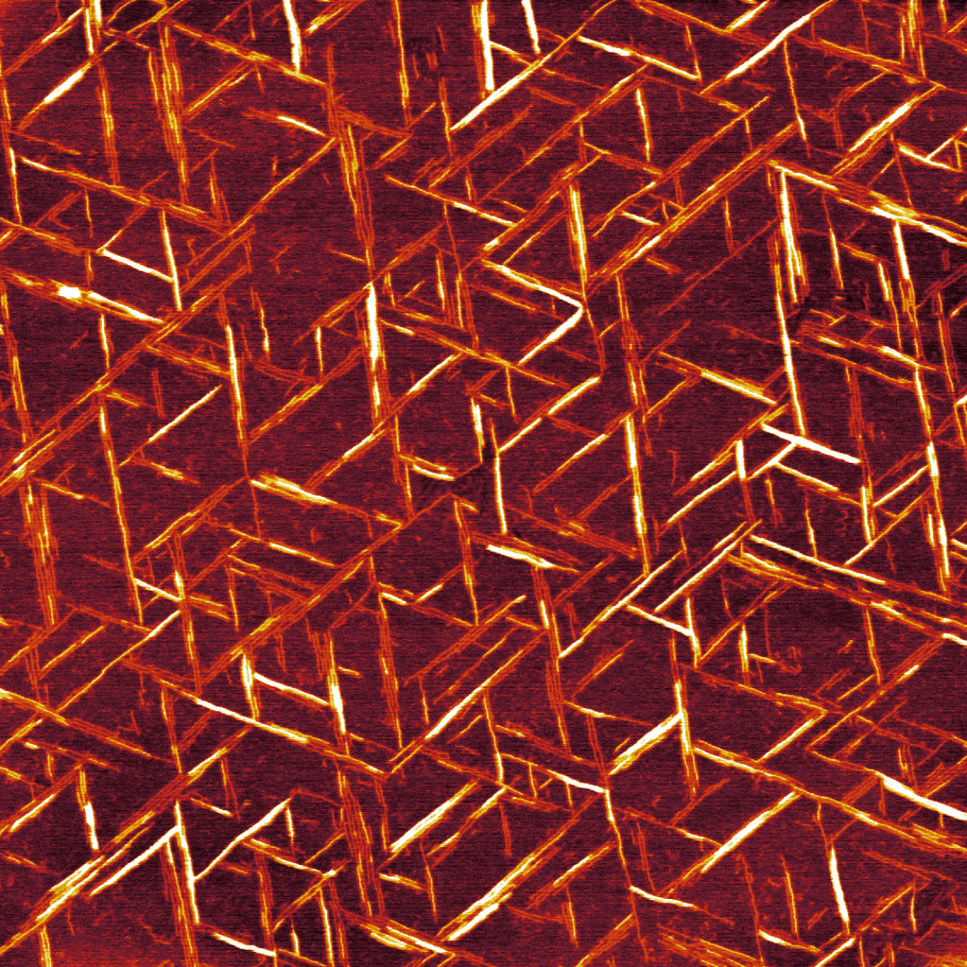 Supramolecular Structures of Self-Assembled Oligopeptides