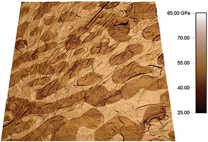Atomic force microscopy modulus map of a solder lead-tin alloy