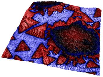 Graphene AFM image: flakes imaged on boron nitride using atomic force microscopy