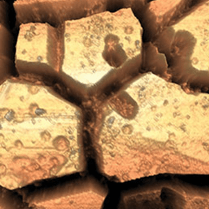 Coronary stent surface imaged using atomic force microscopy