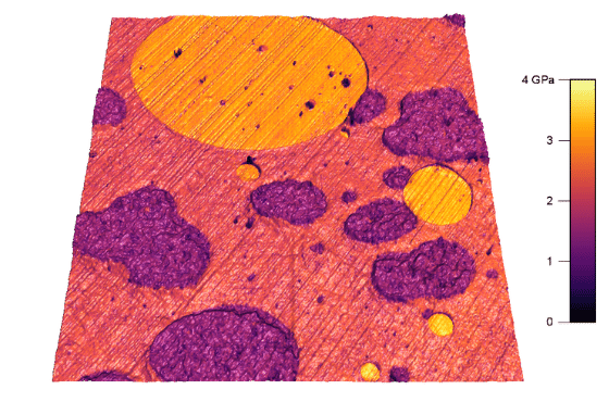 Elastic modulus and topography of a polymer blend taken with Jupiter AFM using blueDrive.
