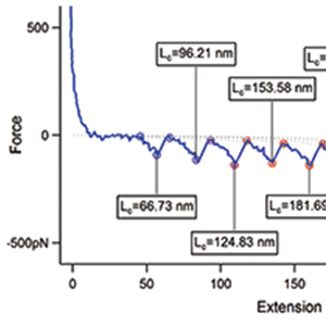 This force-distance curve is an example of force spectroscopy measurements. Here, a protein called titin was unfolded under the force of the atomic force microscope. Each peak corresponds to the unfolding of one domain in the protein.
