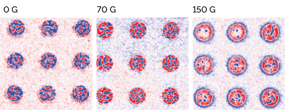 magnetic skyrmions thin films mfm magnetic force microscopy
