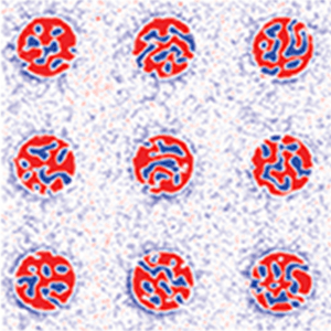 Magnetic skyrmions imaged using magnetic force microscopy under an applied perpendicular magnetic field
