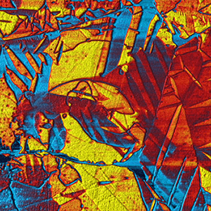 piezoresponse force microscopy image taken with an Asylum Research scanning probe microscope