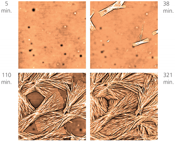 Syndiotactic polypropylene melted to 160°C, then allowed to crystallize at 105°C. 