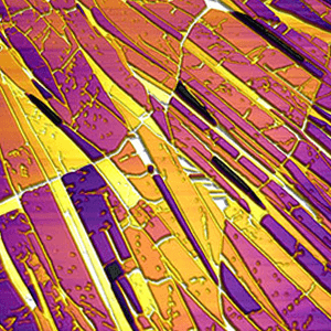 Atomic force microscopy image of a thin film
