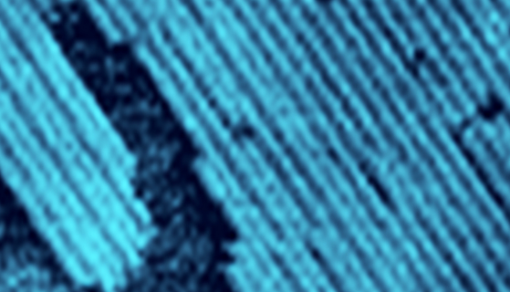 <p></p>