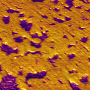Atomic force microscope image of a lithium battery electrode