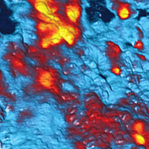 Surface potential image of a carbon-filled polymer blend imaged with atomic force microscopy