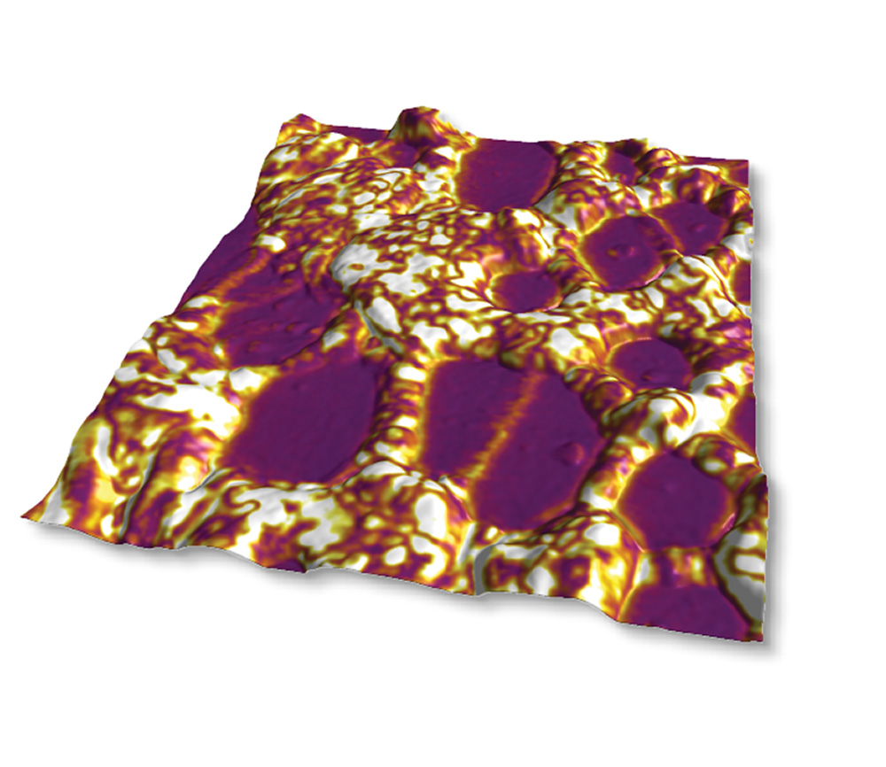 PFM image of PVDF polymer. The piezoelectric response of PVDF is widely exploited in tactile sensors. PFM lateral amplitude is shown on 3D topography, 2 ?m scan. Sample courtesy D. Guo, Institute of Acoustics, Chinese Academy of Science.