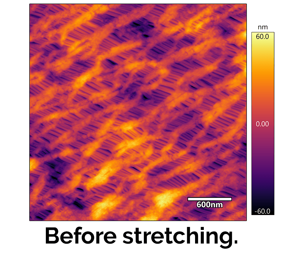 Celgard membrane before stretching afm image
