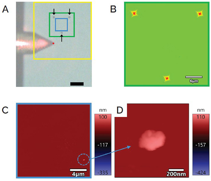Localization and imaging of sample contamination using Jupiter AFM