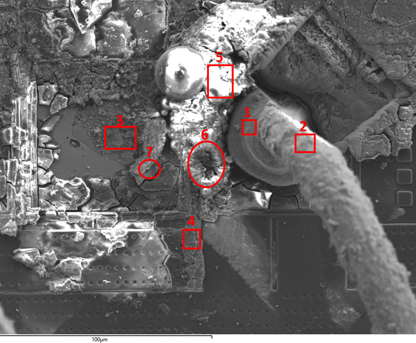 Fig 3. Thickness measurement from collected EDS data